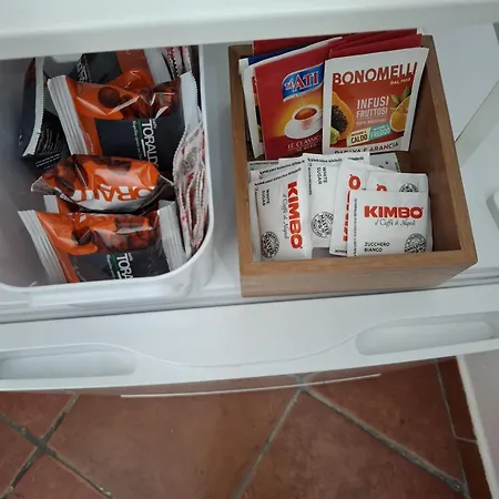 לינה וארוחת בוקר Marty